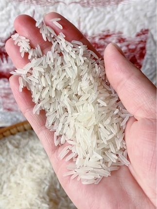 醇香猫牙米新米,晚稻生态梯田直采,香糯可口,孩子都爱吃!现磨现发,保留天然营养,米香四溢,饭粒饱满松软,家庭聚餐必备。#猫牙米 #香米 #抖音美食推荐官 #大米 #妈呀太香了