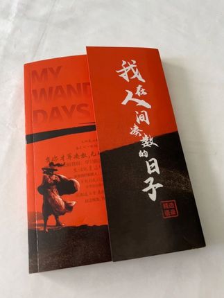 我在人间凑数的日子