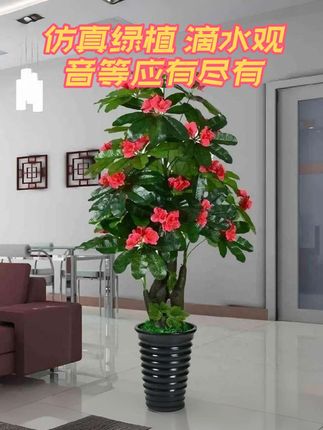 假树发财树仿真植物落地盆栽大型客厅盆景假花塑料花装饰仿真绿植 仿真绿植滴水观音,发财树,红掌等等各种绿植摆件#绿植 #花卉绿植 #绿植盆栽 #室内绿植 #绿植盆栽