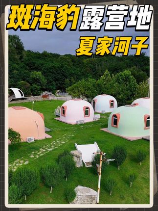 夏家河子的斑海豹露营地!60亩地依山傍海,风景美的像画一样 #大连 #露营地 #夏家河子 #周末去哪玩