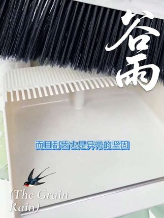 #扫把#视频同款#每日分享生活用品#日用百货