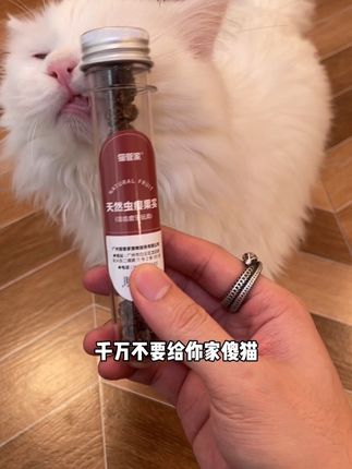 没有猫咪能拒绝的虫瘿果玩具#新手养猫#萌宠好物#逗猫玩具#猫咪磨牙 #猫管家宠物用品