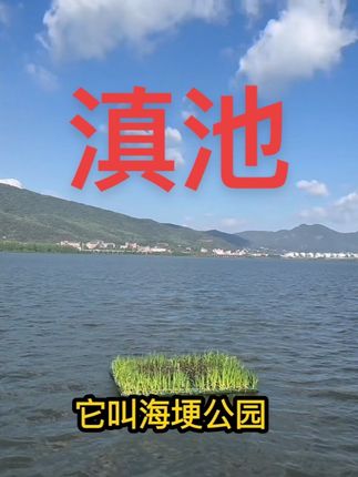 昆明滇池旅游看不见海鸥有点遗憾 #原创视频 #vlog十亿流量扶持计划