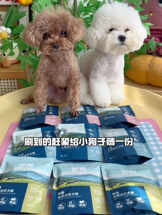 我知道你家不缺狗粮!但是鲜朗烘焙狗粮试吃,真的可以闭眼薅! #鲜朗 #鲜朗狗粮 #狗粮 #狗粮推荐 #新手养狗