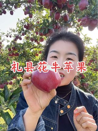 #优质农产品 #新鲜采摘 #抖音助农 #礼县花牛苹果 #强烈推荐