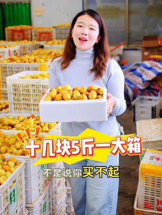 Vc王,冰糖冬枣,超脆甜,一口嘎嘣脆甜,入口无渣,汁水充足 #优质农产品 #新鲜采摘 #应季水果 #源头好货 #冬枣