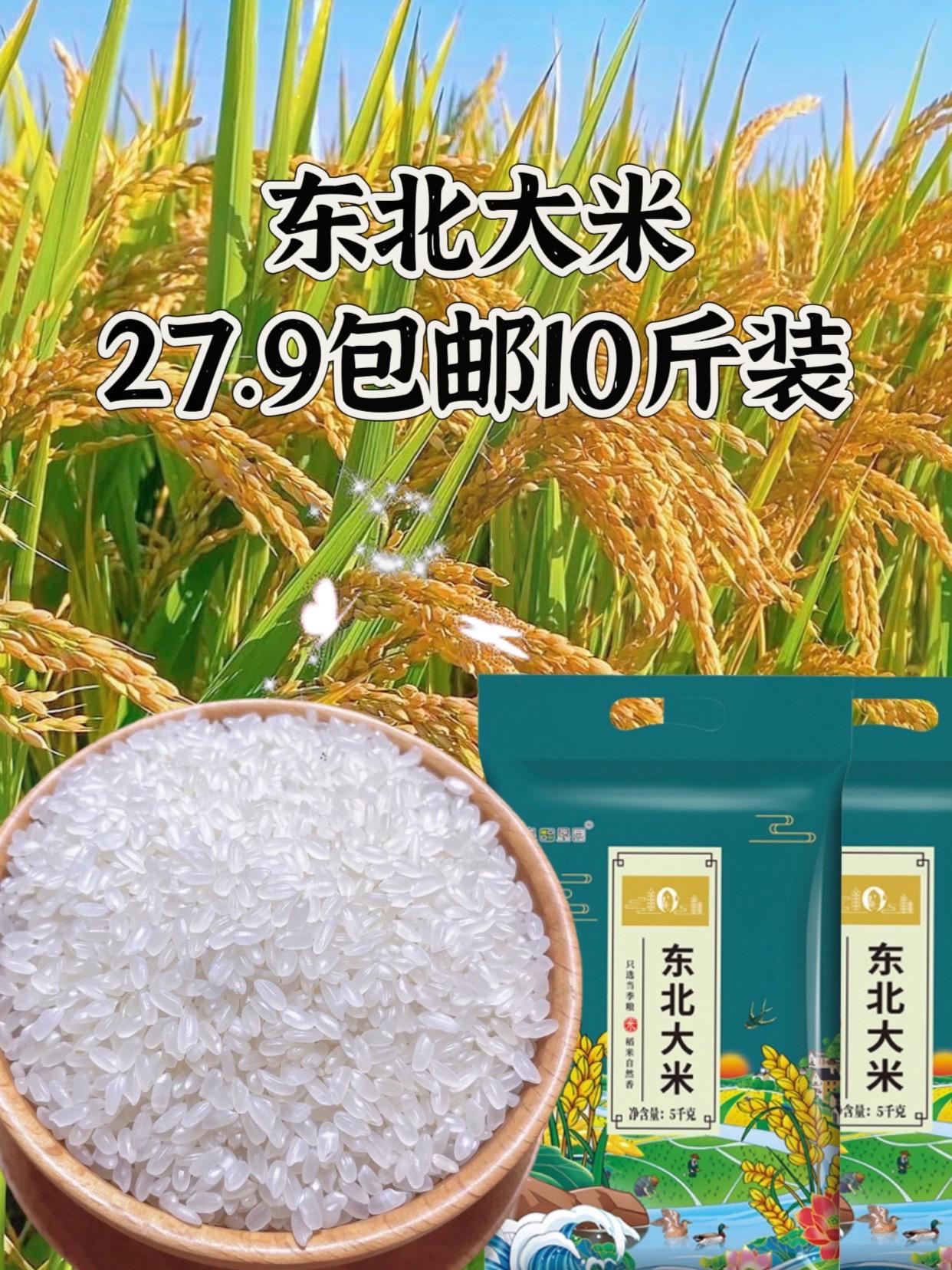 #东北大米就是香 #东北大米 #米饭 #无限回购的宝藏单品