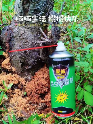 果攸擒天牛救果树,#果树管理 #天牛克星 #三农服务
