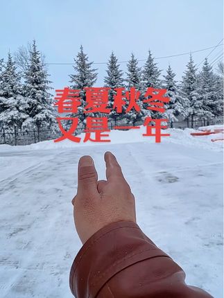 春夏秋冬又是一年除了长了一岁,毛都没挣着#音乐#抖音二创激励计划 #抖音推广