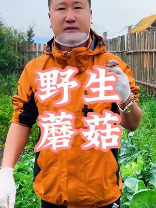 大兴安岭野生粘团子! #我的旅行日记 #抖音看世界 #舌尖上的抖音