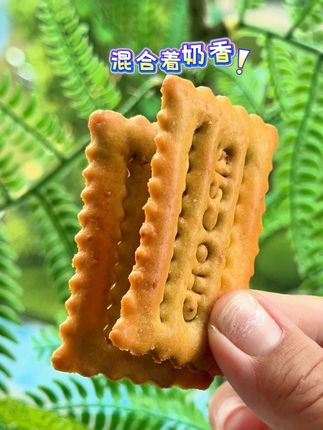 #巧兮兮 家巧克力薄脆饼干也太香了吧,醇香酥脆巨好吃,巧克力烦恼闭眼冲啊~#太好吃了 #饼干 #巧克力饼干 #强烈推荐