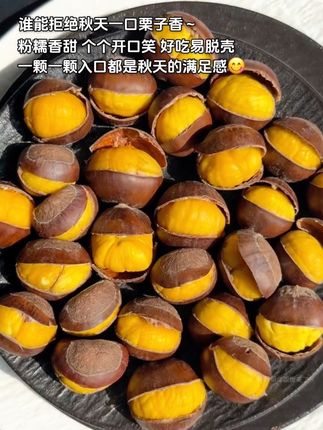 🌰秋日限定快乐! 耶~秋天的仪式感!从一颗栗子🌰开始呀!粉糯香甜超入味,颗颗开口好剥壳,一口粉糯巨好吃!入口的瞬间,满是秋日独有的温柔与满足😋一口一个不要太满足!!!#板栗 #秋天的第一颗栗子 #粉糯香甜 #优质农产品 #超便宜超划算