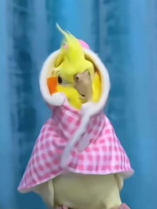 鹦鹉披风斗篷鸟衣服鹦鹉披风玄凤加厚保暖外出服鹦鹉用品鸟用品#宠物#宠物用品#宠物衣服#鸟用品#鹦鹉斗篷