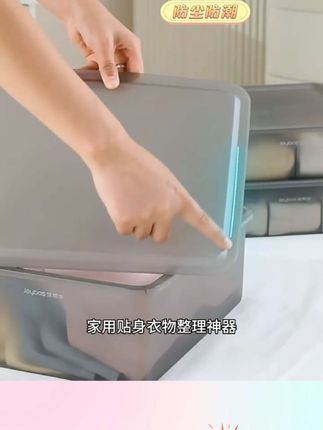 佳帮手收纳盒内衣内裤袜子分格神器家用衣柜贴身衣物三合一整理箱#内衣收纳盒 #收纳盒 #内衣收纳盒推荐