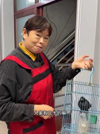 天冷了开始换季了哈,我家被子现在开始制作了,棉花被,蚕丝被,大豆被,棉花被,羊绒被,鹅绒被,咱们都可以制作的哈,有需要的哥哥姐姐们直接在小黄车拍哈,感谢各位的支持#大豆被 #棉花被 #蚕丝被