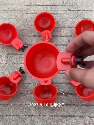 #小鸡饮水器 #自动饮水器 #喂水碗 #养鸡 #在抖音入手的好东西