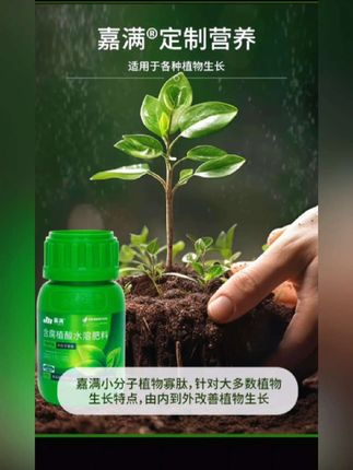 #农业种植 #一分耕耘一分收获 #有机种植 #花卉绿植 #效果好