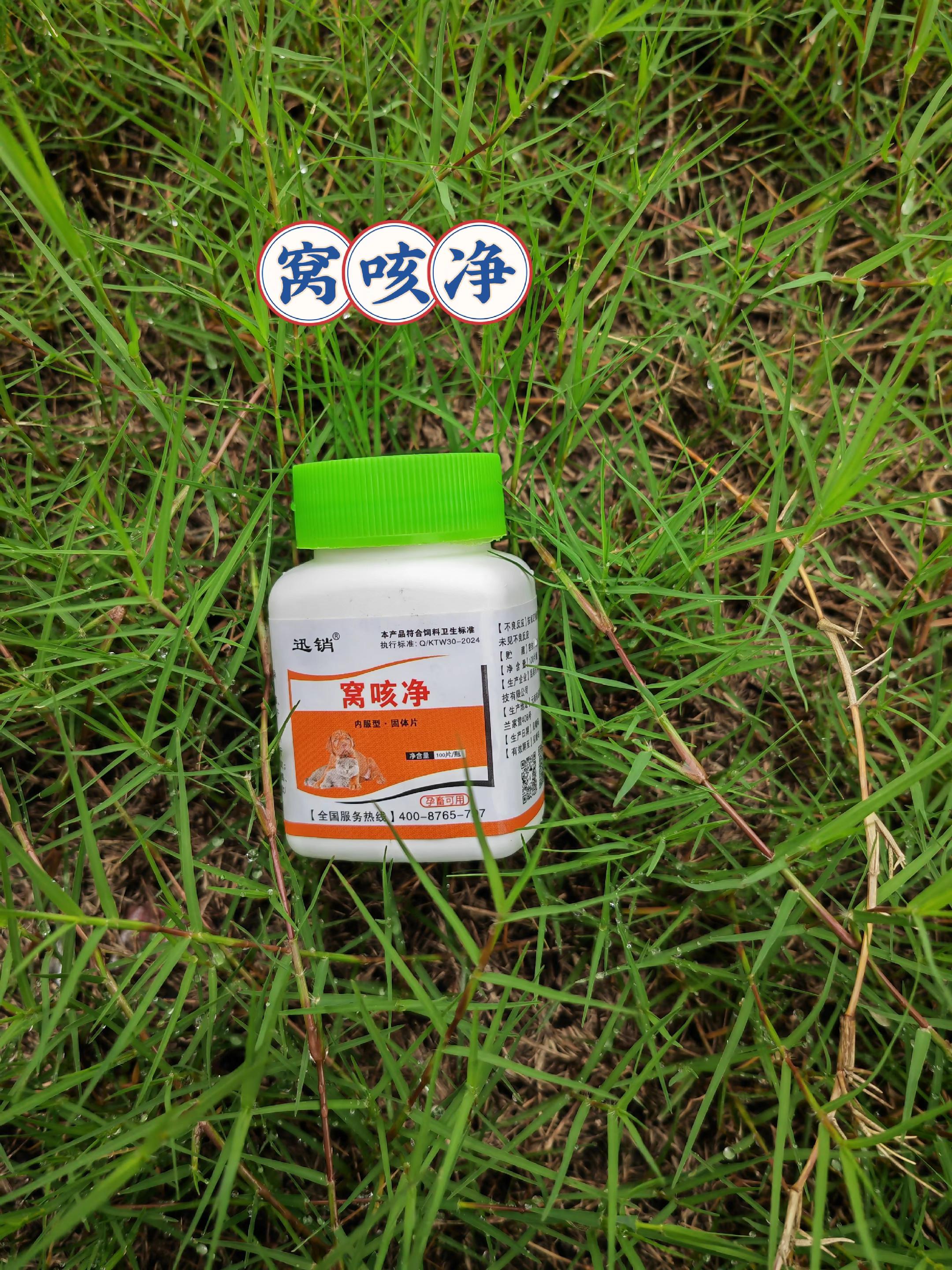 #养狗经验分享 #养猫经验分享 #新手养狗 #科学养宠