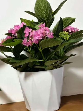 欧式陶瓷花盆花架绿植花卉种植鲜花粗陶简约纯手工手绘家用盆大号。