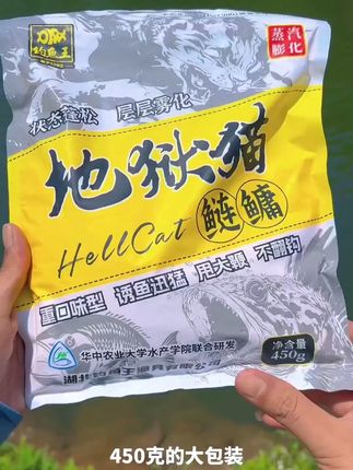 钓鱼王地狱猫鲢鳙饵料 #钓鱼 #浮钓鲢鳙 #鲢鳙饵料 #抽鲢鳙 #地狱猫鲢鳙