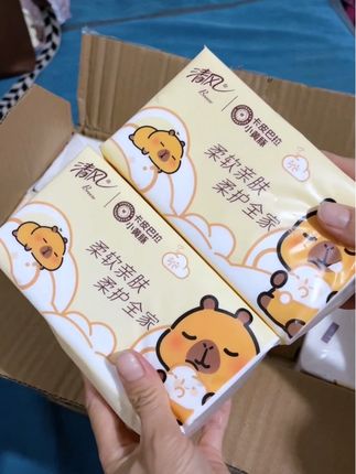 囤纸啦!囤纸啦!到手足足20包!还是#清风 大品牌抽纸!#清风抽纸 #卡皮巴拉联名 #居家好物 #四层亲肤柔实力