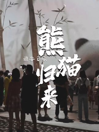 四川雅安:不止有雨城的浪漫,还有熊猫的‘熊抱’!”#熊猫归来