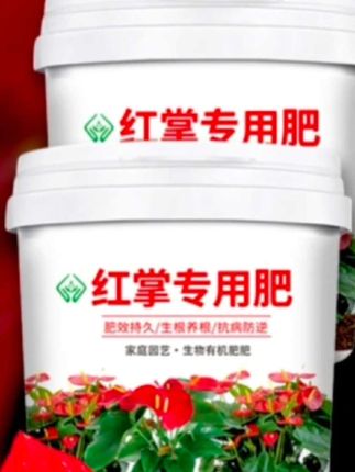红掌专用肥料,种花营养型室内盆栽绿植花卉通用型颗粒,养殖缓释肥#红掌专用肥#家庭养花 #超便宜超划算