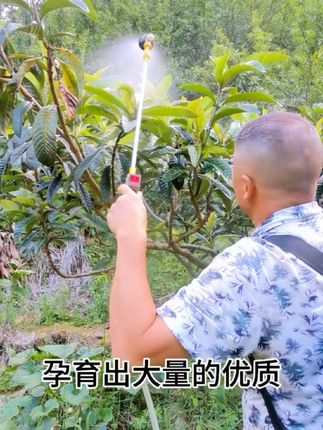 控稍控旺的目标,就是为了,让它花多果多,达到高产的目的#种植小技巧