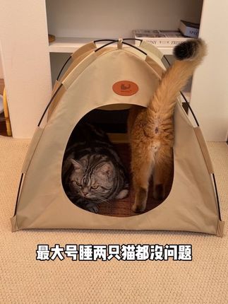 免安装的帐篷猫窝#新手养猫#萌宠好物#帐篷猫窝#宠物帐篷#猫咪帐篷