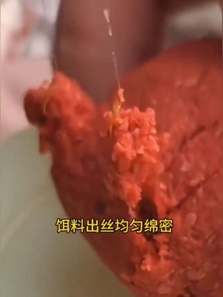 钓百斤三效合一鲜虾新鲜鲜红虫饵料通用黑坑野钓鲫鱼鲤鱼草鱼#钓百斤鲜饵 #爆护饵料 #户外钓鱼 #钓百斤 #秋冬天鲫鱼饵料配方
