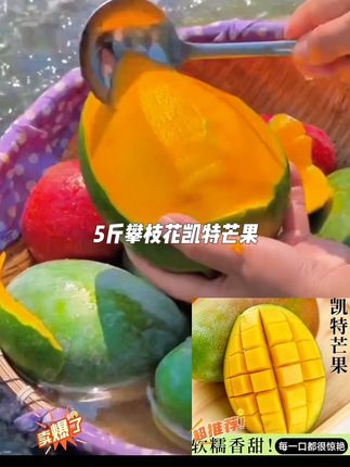 十多块就发5斤攀枝花凯特芒果,真的超划算,喜欢的赶紧冲! #口感特别好 #芒果#凯特芒果 #攀枝花芒果 #超便宜超划算