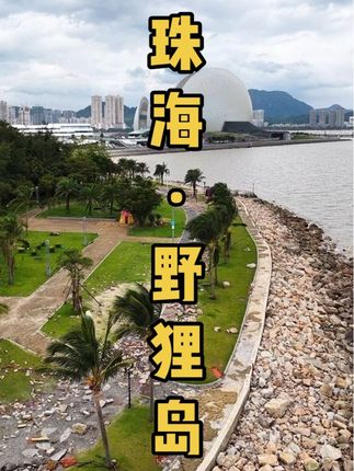 台风后的珠海野狸岛,一片狼藉。#台风 #台风桦加沙 #珠海 #野狸岛