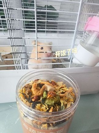 终于买到了挑食鼠鼠爱吃的鼠粮#金丝熊日常 #金丝熊 #养鼠日常分享 #金丝熊配粮 #仓鼠配粮