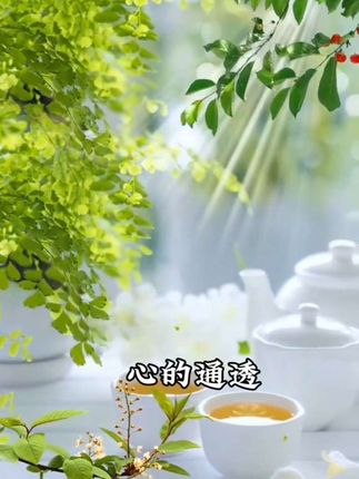 治愈人心又充满想象力的童诗,让孩子每天读一读,随便一句写近作文里都是锦上添花#作文素材#作文#好书分享#写作技巧