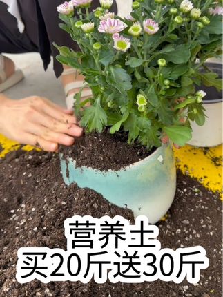 大语文时代,语文考试知识面非常灵活,一定要帮孩子多积累这些百科常识#育儿#家庭教育 #百科知识#文学常识