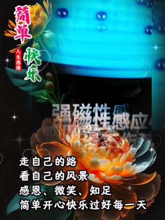#磁力感应棋