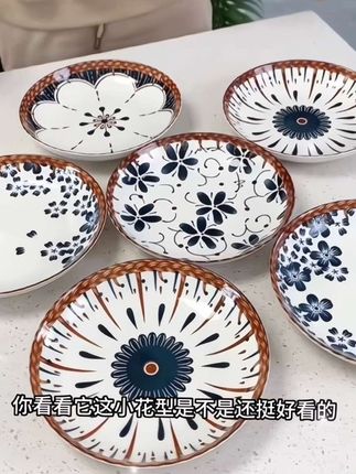 6个装陶瓷8英寸盘子复古藤编多色混装,家用炒菜用盘子微波炉可用#陶瓷盘 #盘子 #菜盘 #陶瓷餐具