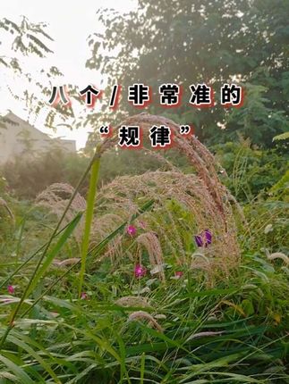 #创作灵感 #手机摄影 #我的乡村生活 #户外 #人生感悟