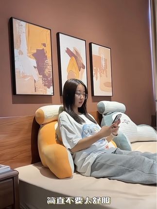 #靠枕 #靠枕抱枕 #品质生活 #强烈推荐