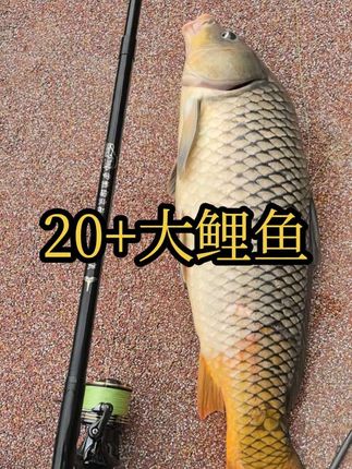 #妙渔鲂 #妙渔鲂渔具
