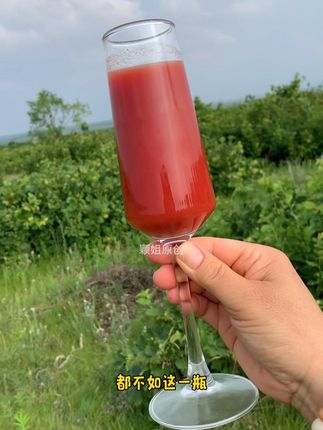 新疆的番茄汁番茄味浓郁酸酸甜甜没有添加剂,巨好喝#番茄汁 #新疆番茄汁