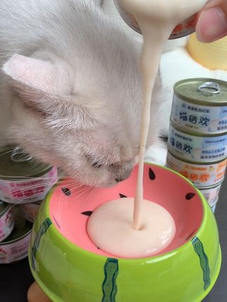 平均一个不到3块钱的奶昔罐头,还是#美滋元 大牌出品,一口下去补水解馋又长肉,大热天的,快给家里猫咪安排上吧#美滋元奶昔罐 #奶昔罐头