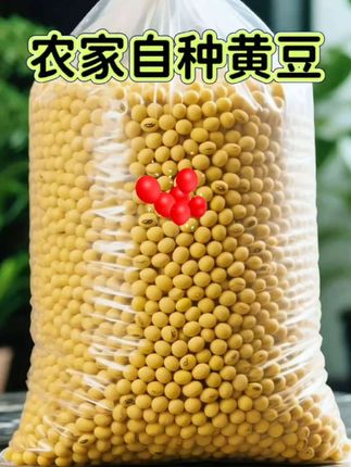 2025头茬黄豆】新收割精选五斤东北黄豆打豆浆豆颗粒饱满圆润
