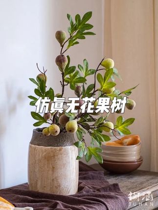 掬涵仿真无花果枝客厅餐桌装饰野趣果实花艺样板间摆件插花礼物 #无花果树 #仿真无花果 #客厅装饰摆件 #花艺摆件仿真花 ##花卉绿植