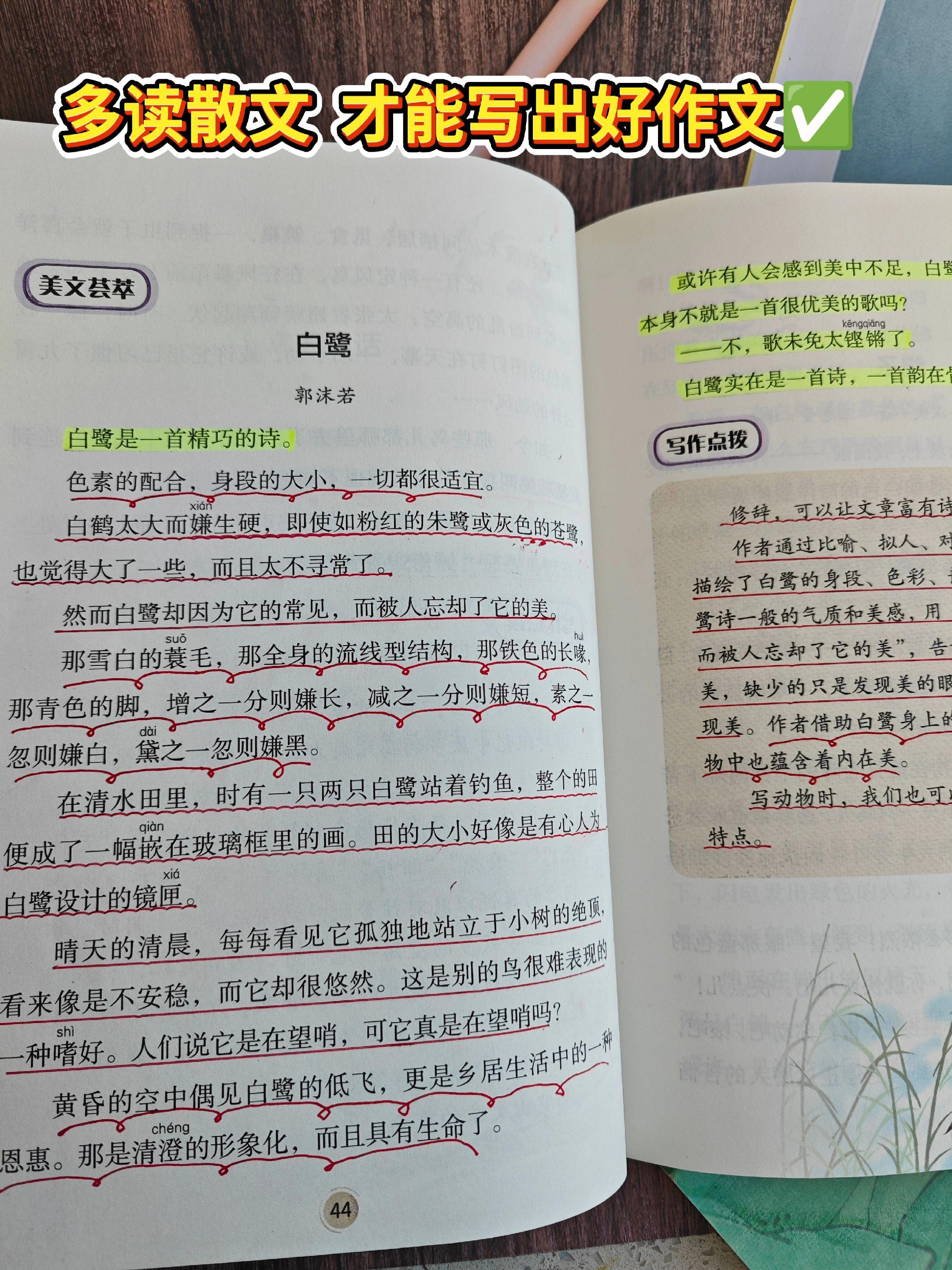 孩子从三年级开始,要多读名家散文📚。多读名家作品,品味文字之美,书中每篇佳作都是写作的灵感源泉,多读多悟,提升写作技巧,让文字绽放光彩!#好书分享 #课外阅读 #小学语文 #作文素材 #写作技巧