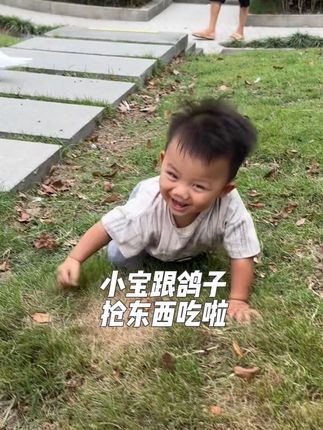 小宝要和鸽子抢东西吃了#萌娃#人类幼崽 #成长#跨国婚姻#混血宝宝