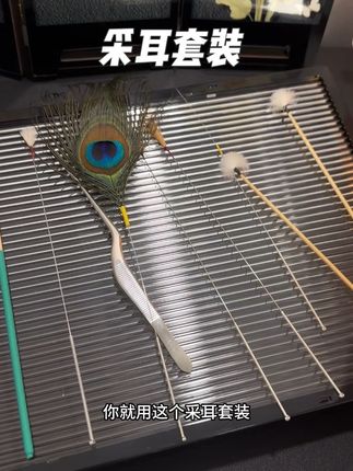 一齐全了#好物推荐🔥 #采耳套装 #采耳