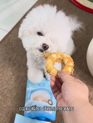发财最爱的甜甜圈!#帕蓝姆 #狗狗磨牙 #帕蓝姆磨牙甜甜圈