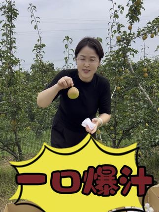 #优质农产品 #口感特别好 #新鲜采摘 #应季水果 #运城王姐