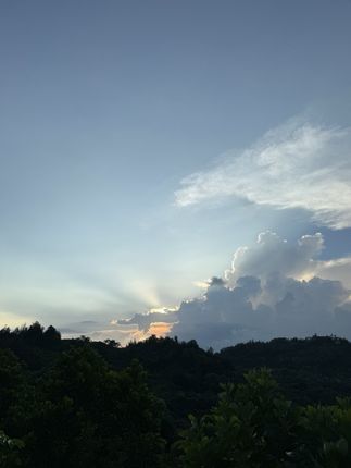 奥特莱斯撤柜秋冬款长袖POLO衫 高端商务休闲翻领T时髦洋气 #品质男装 #polo衫 #商务休闲 #爆款热卖中 #柔软亲肤